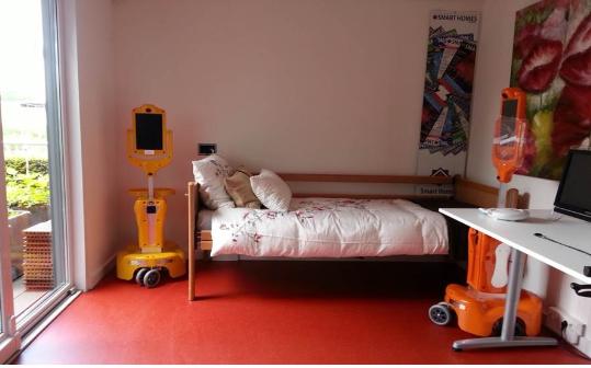 네덜란드 스마트 홈(Smart Homes)에서 추진하고 있는 반려로봇